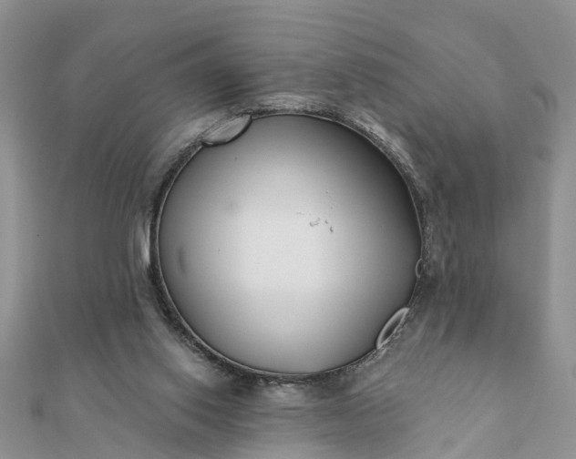 X0000112080062200908181251