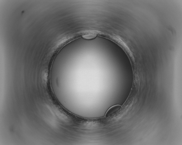 X0000112080063200908181251