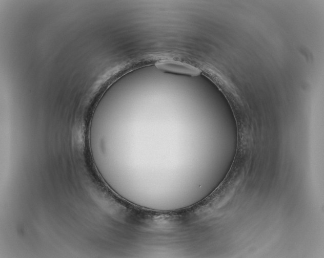 X0000112080064200908181251