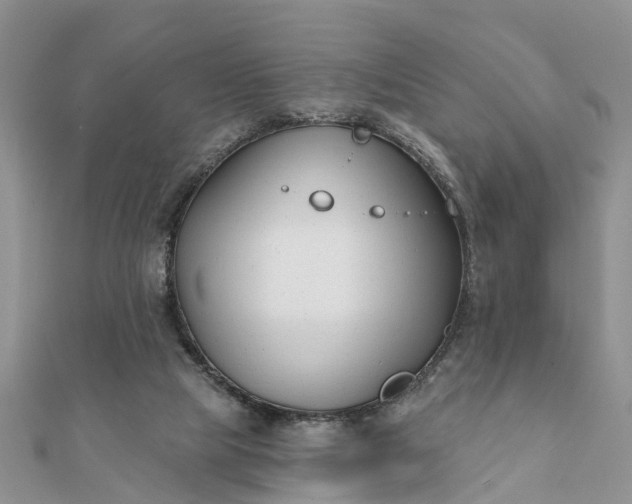 X0000112080065200908181251