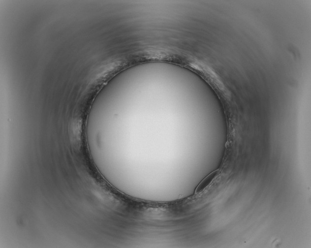 X0000112080066200908181251