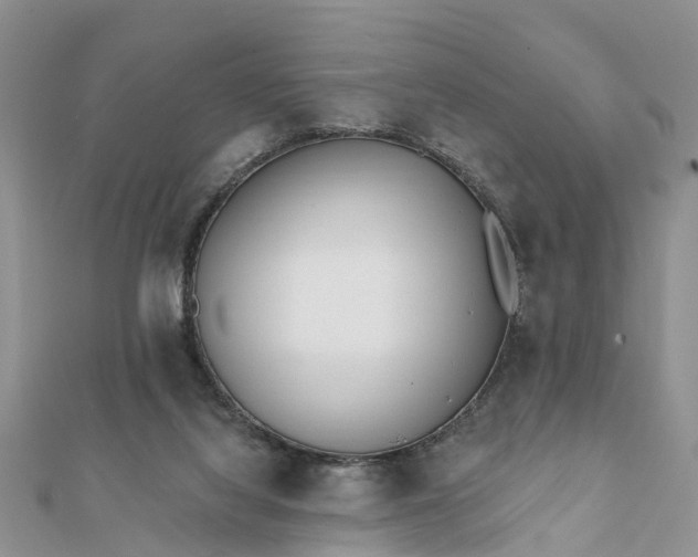 X0000112080068200908181251