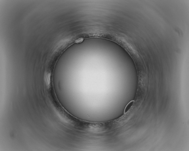 X0000112080070200908181251