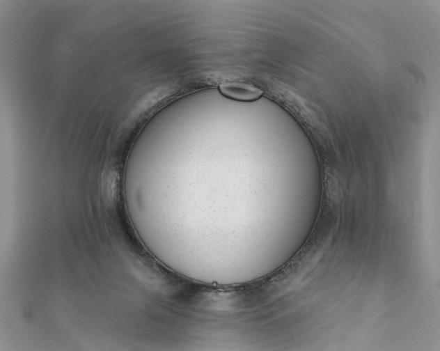 X0000112080071200908181251