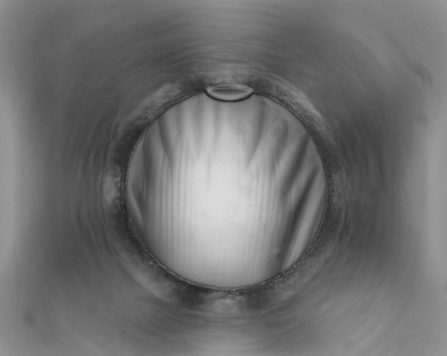 X0000112080073200908181251