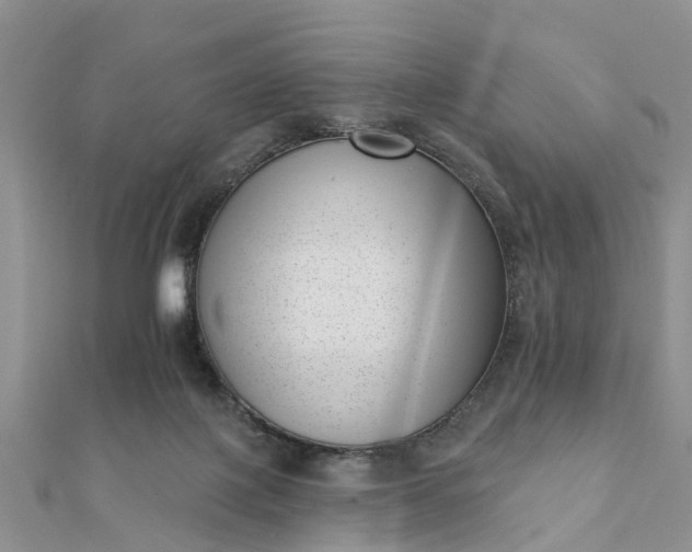 X0000112080075200908181251