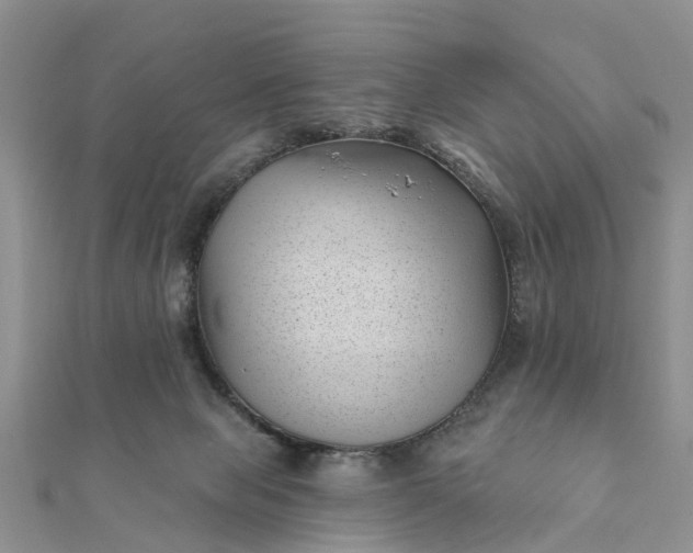 X0000112080077200908181251