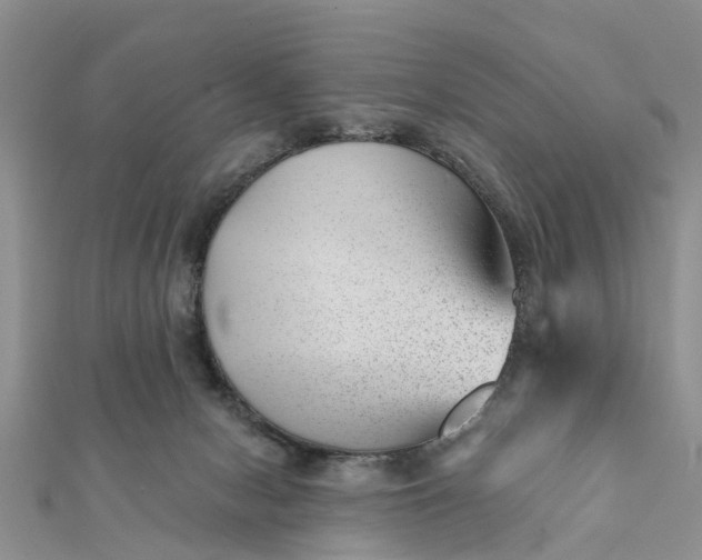 X0000112080078200908181251