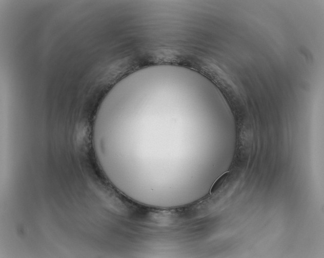 X0000112080079200908181251