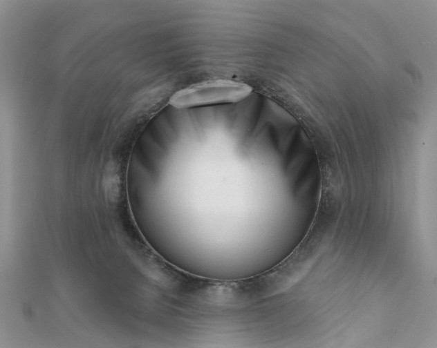 X0000112080080200908181251