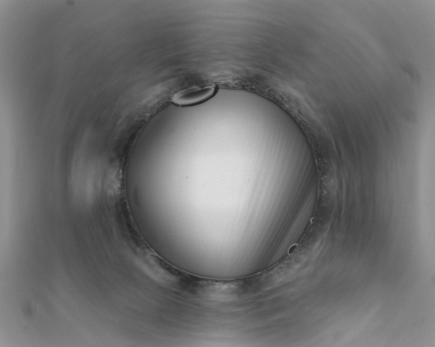 X0000112080081200908181251