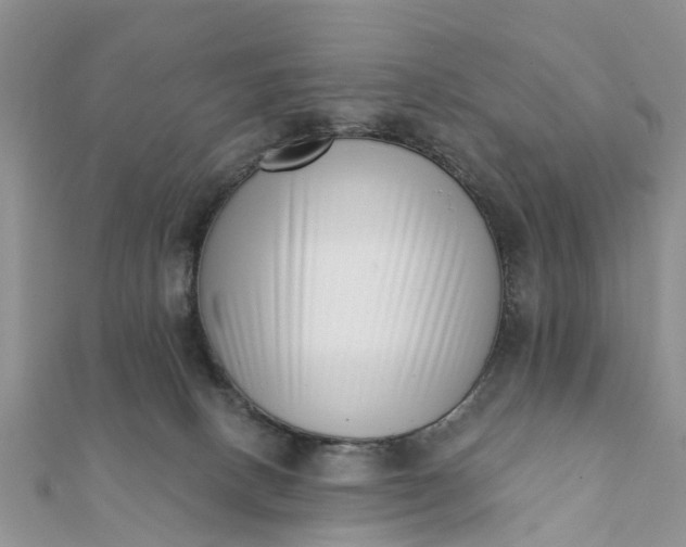 X0000112080082200908181251