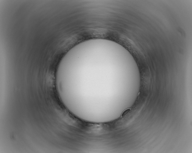 X0000112080083200908181251