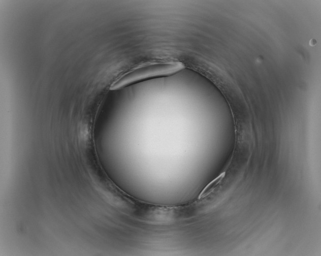 X0000112080084200908181251