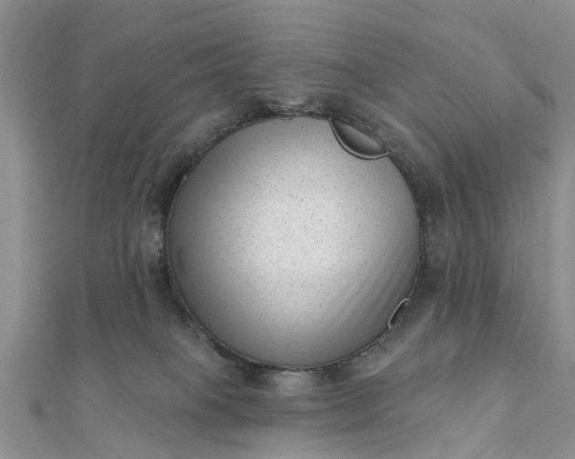 X0000112080085200908181251