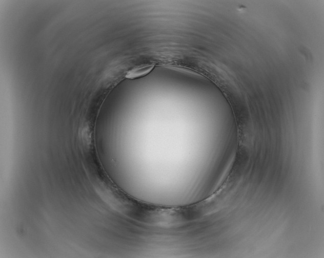 X0000112080086200908181251