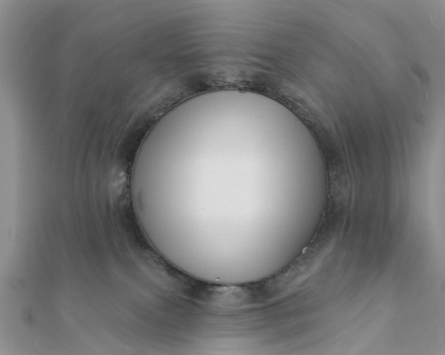 X0000112080087200908181251