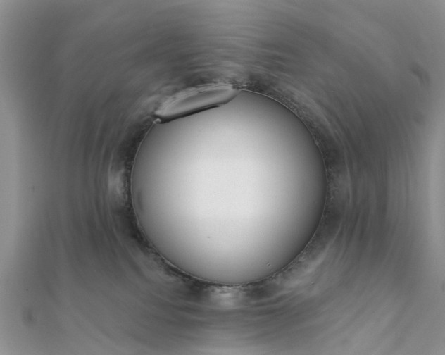 X0000112080088200908181251