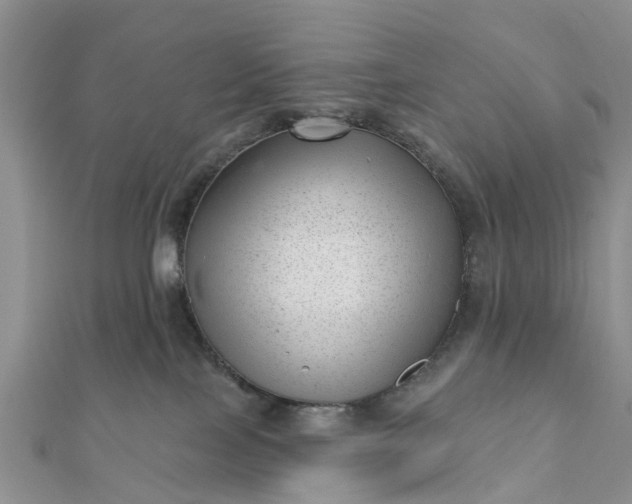 X0000112080089200908181251