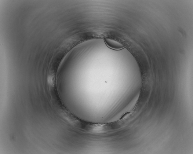 X0000112080090200908181251