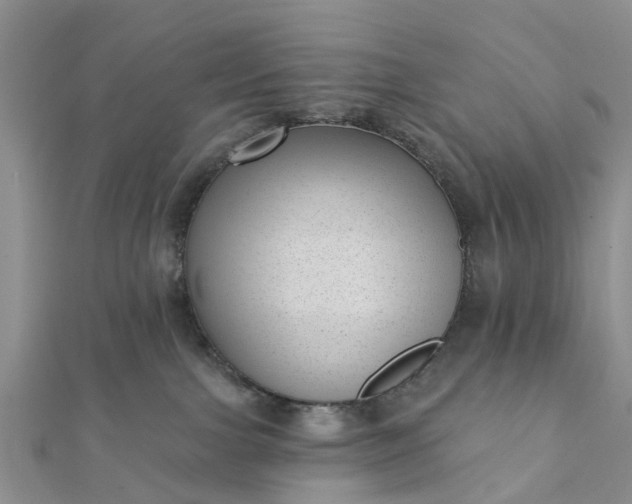 X0000112080091200908181251