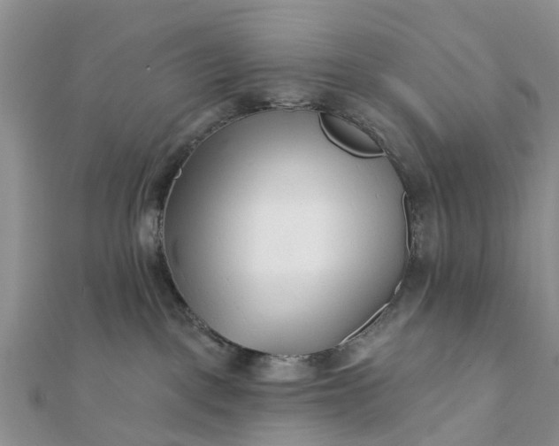 X0000112080093200908181251