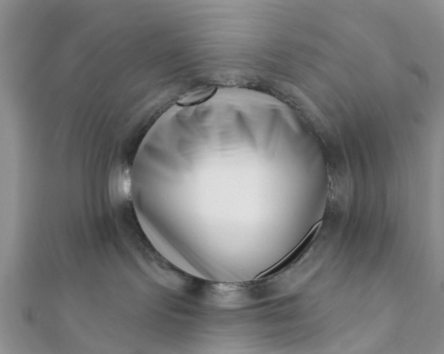 X0000112080095200908181251