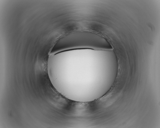 X0000112080096200908181251