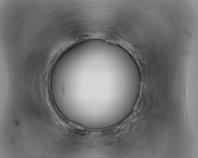 X0000112080097200908181251