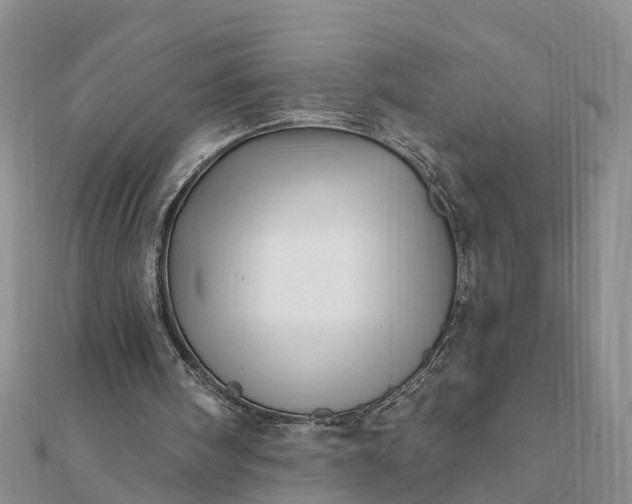 X0000112080098200908181251