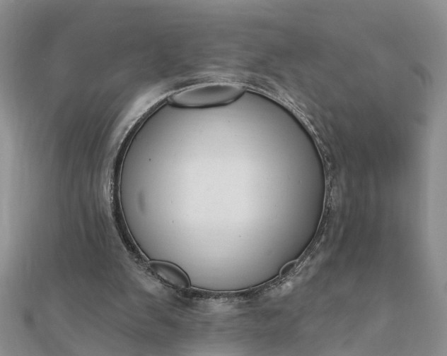 X0000112080103200908181250