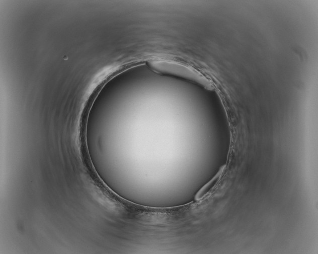 X0000112080104200908181250