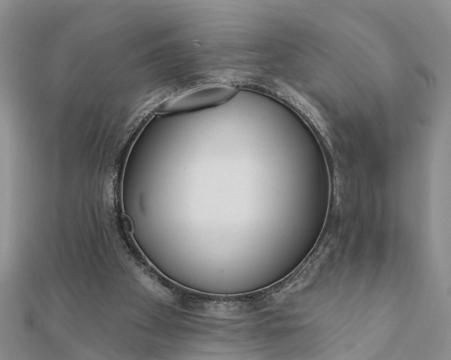 X0000112080105200908181250