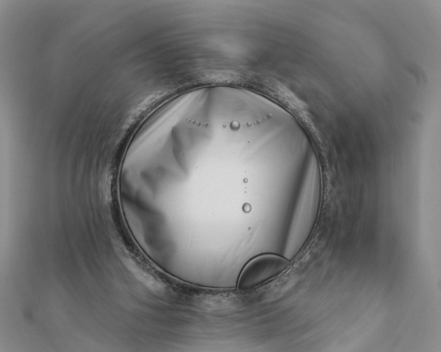 X0000112080106200908181250