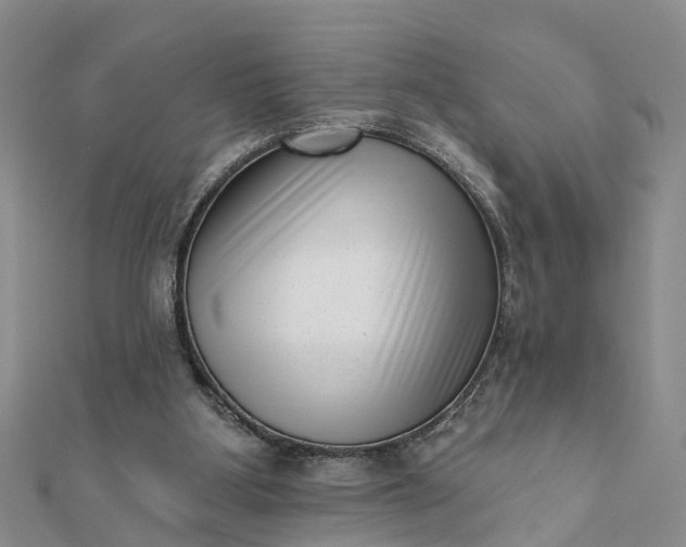 X0000112080107200908181250