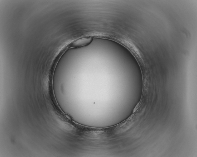 X0000112080108200908181250