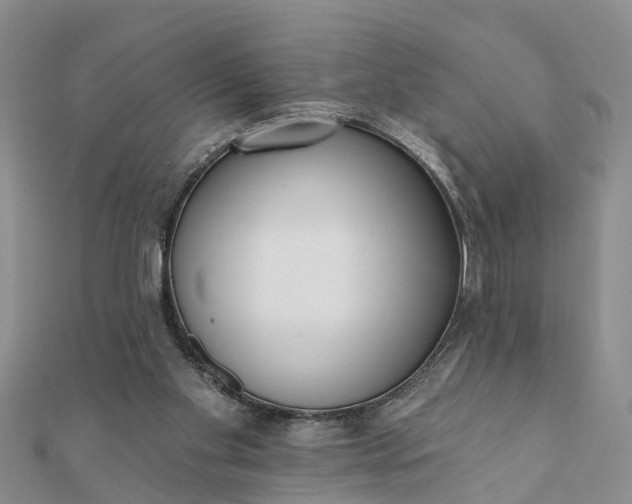 X0000112080109200908181250