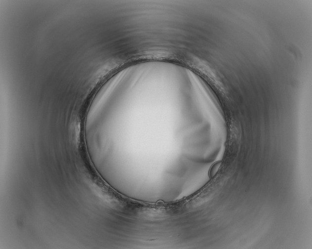 X0000112080110200908181250