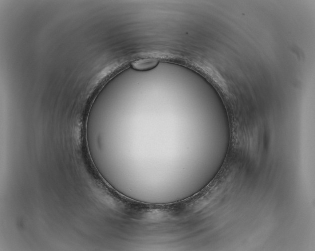 X0000112080111200908181250