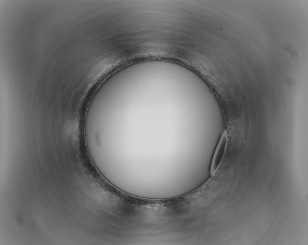 X0000112080112200908181250