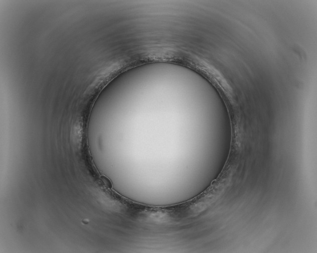 X0000112080113200908181250