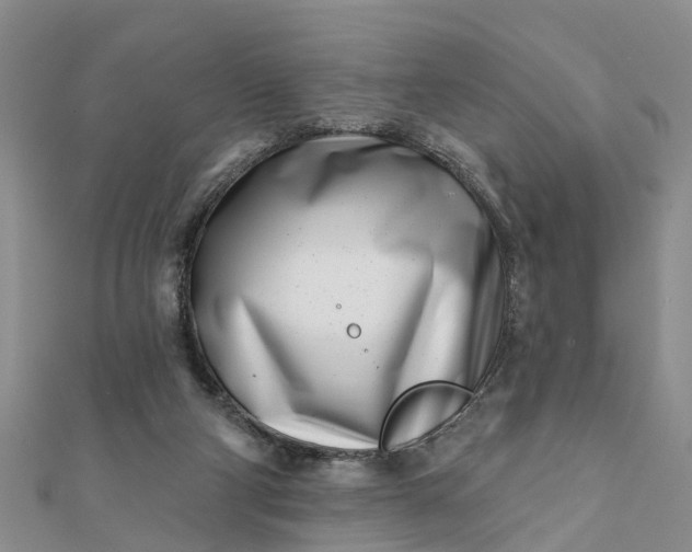 X0000112080114200908181250