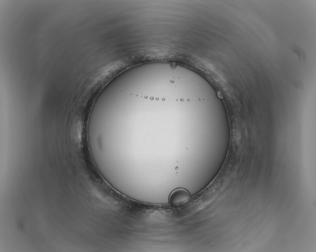 X0000112080115200908181250