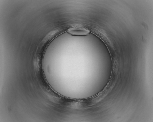 X0000112080116200908181250