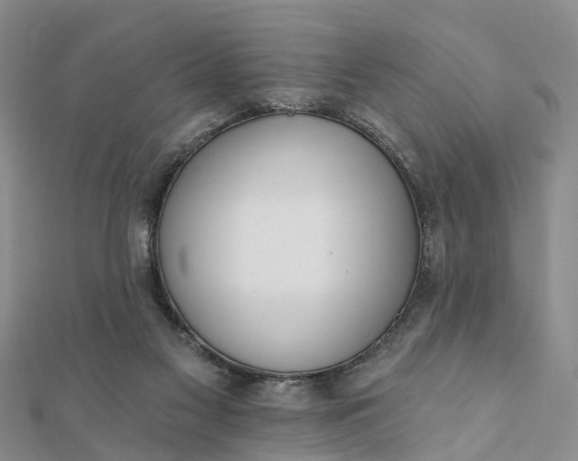 X0000112080117200908181250