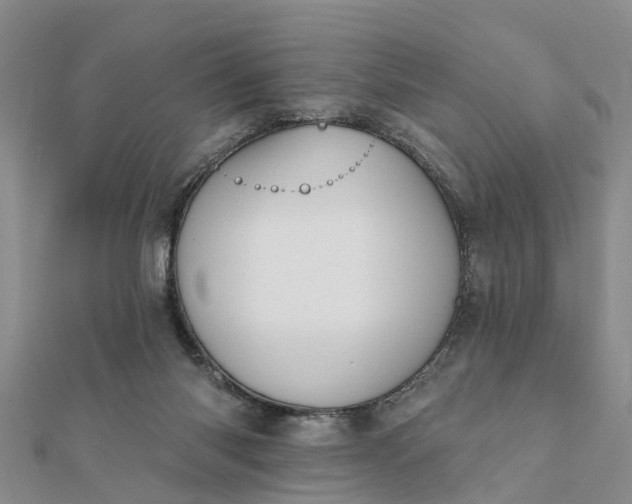 X0000112080118200908181250