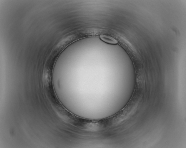 X0000112080119200908181250