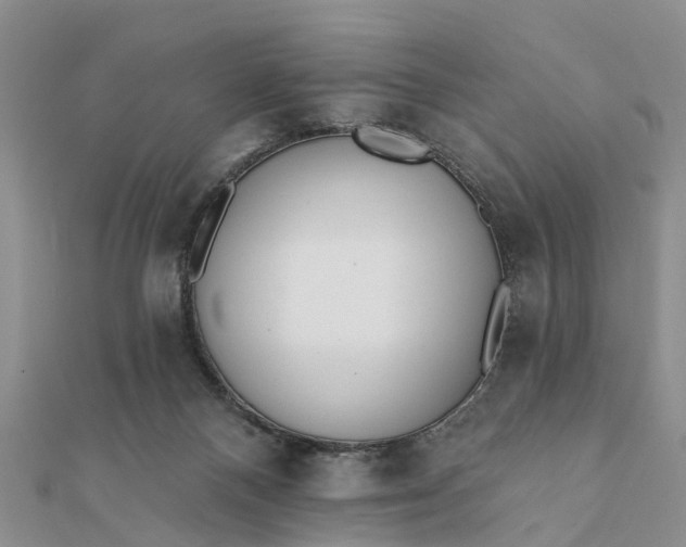 X0000112080120200908181250