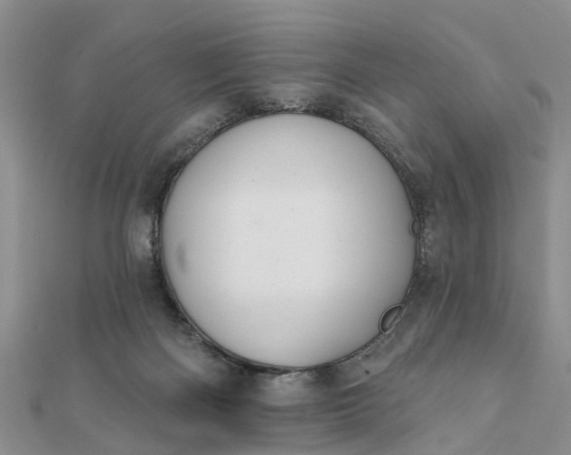 X0000112080122200908181250