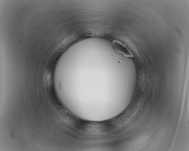 X0000112080123200908181250